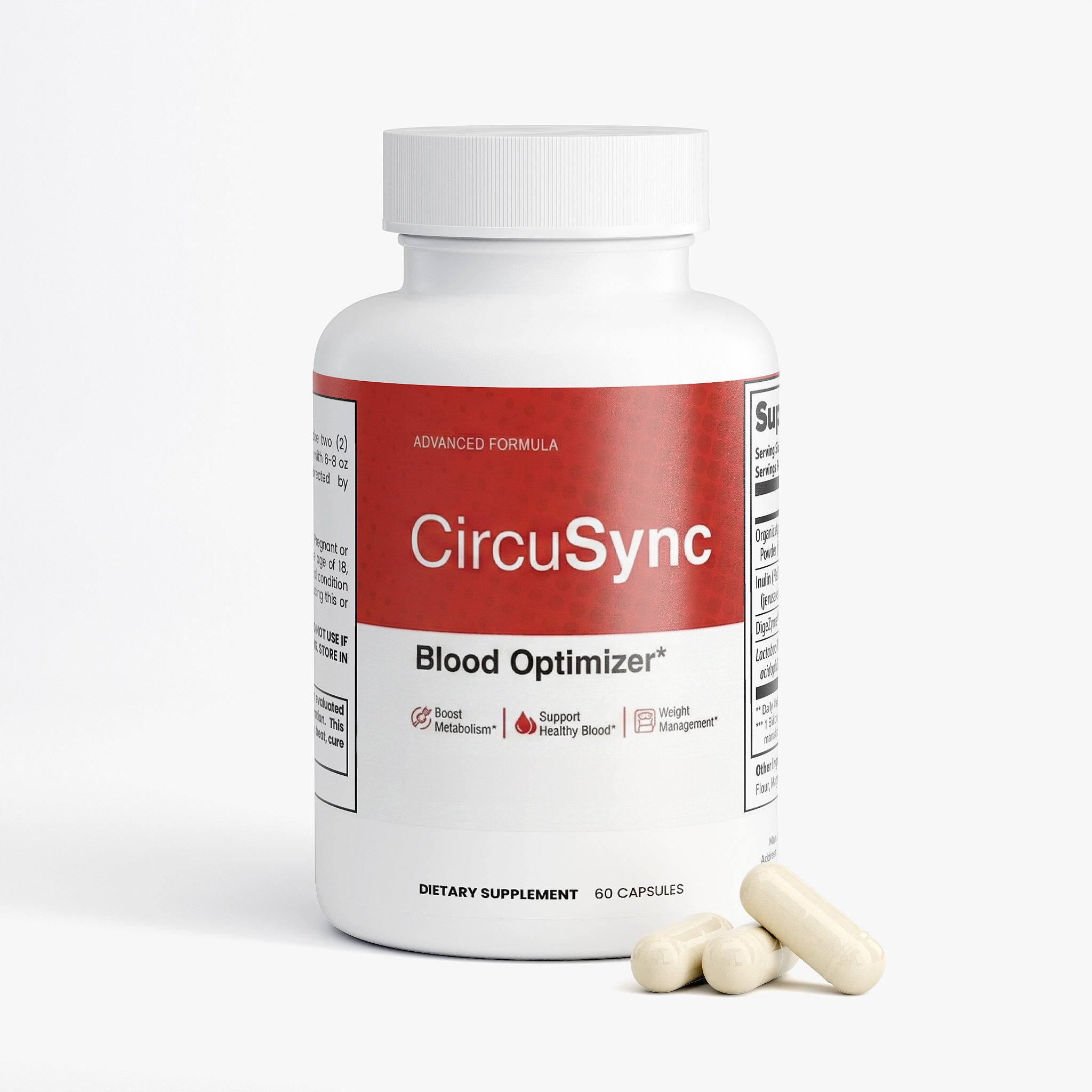 CircuSync (2)