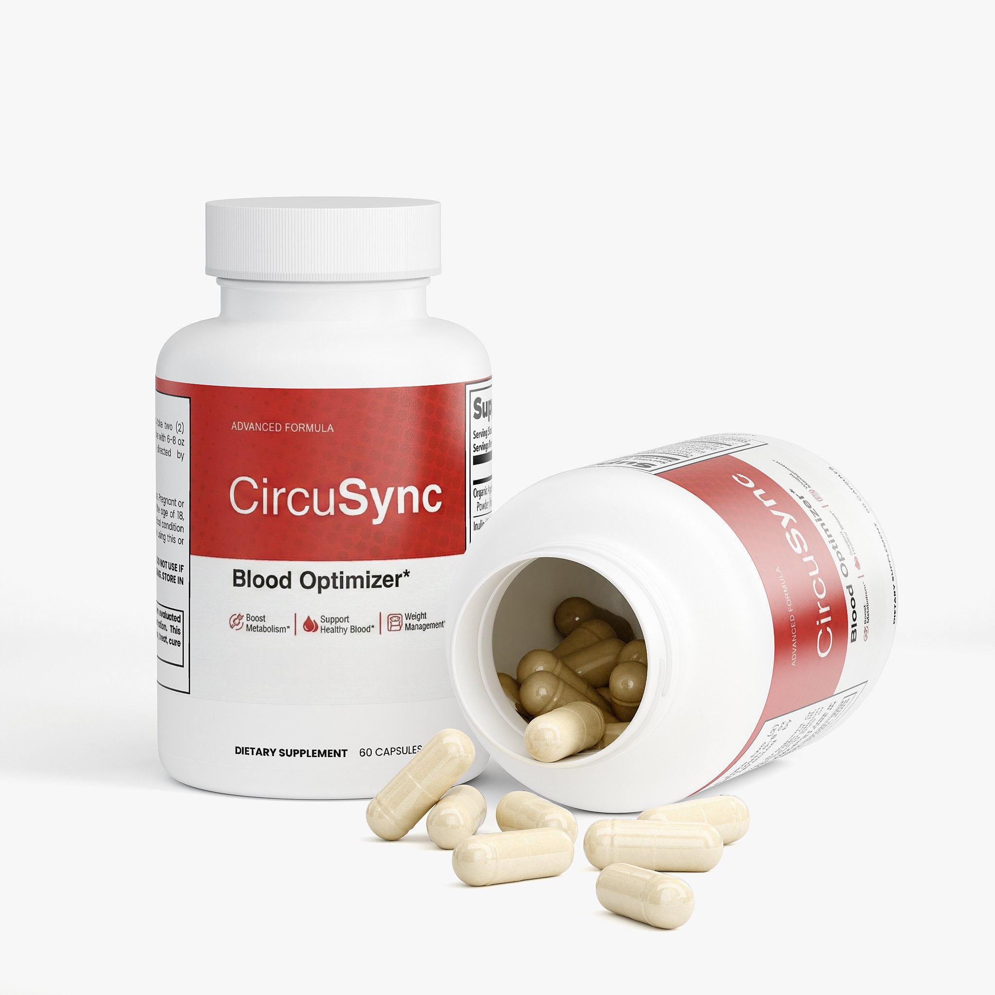 CircuSync (2)