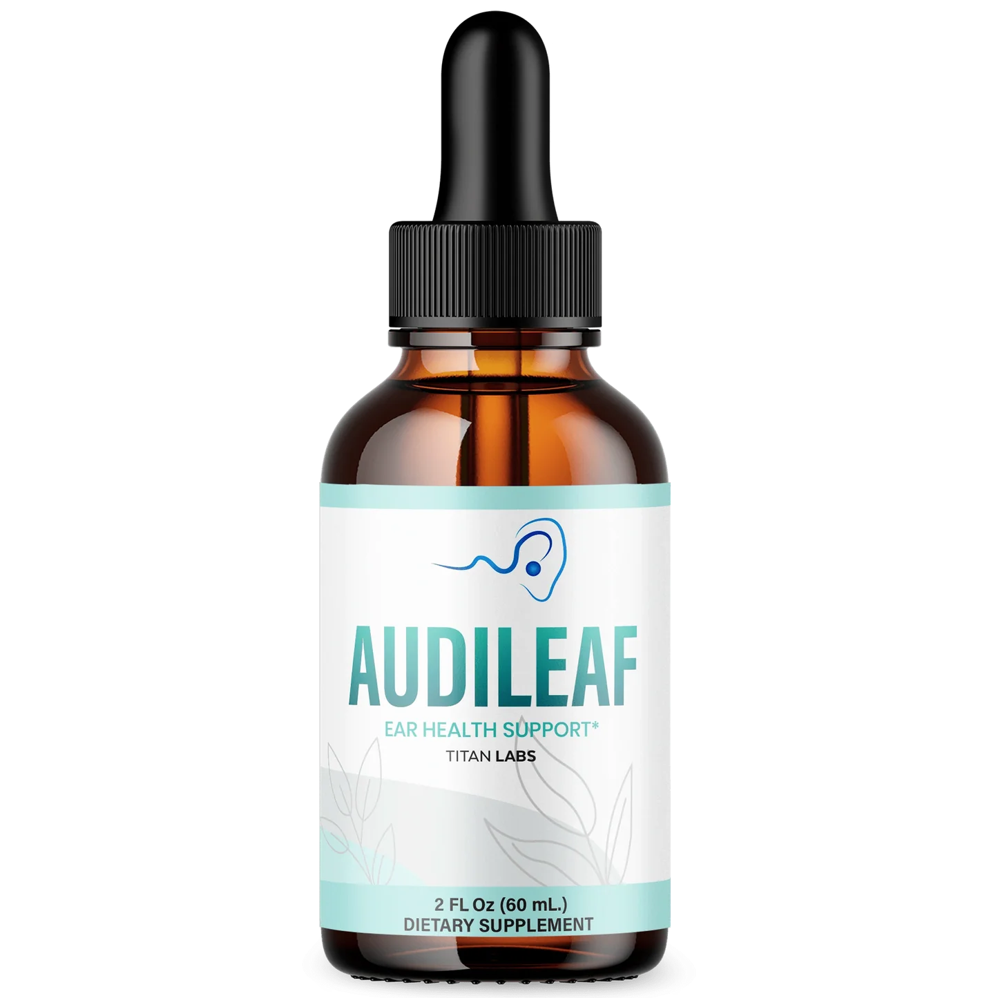 AudiLeaf (5)