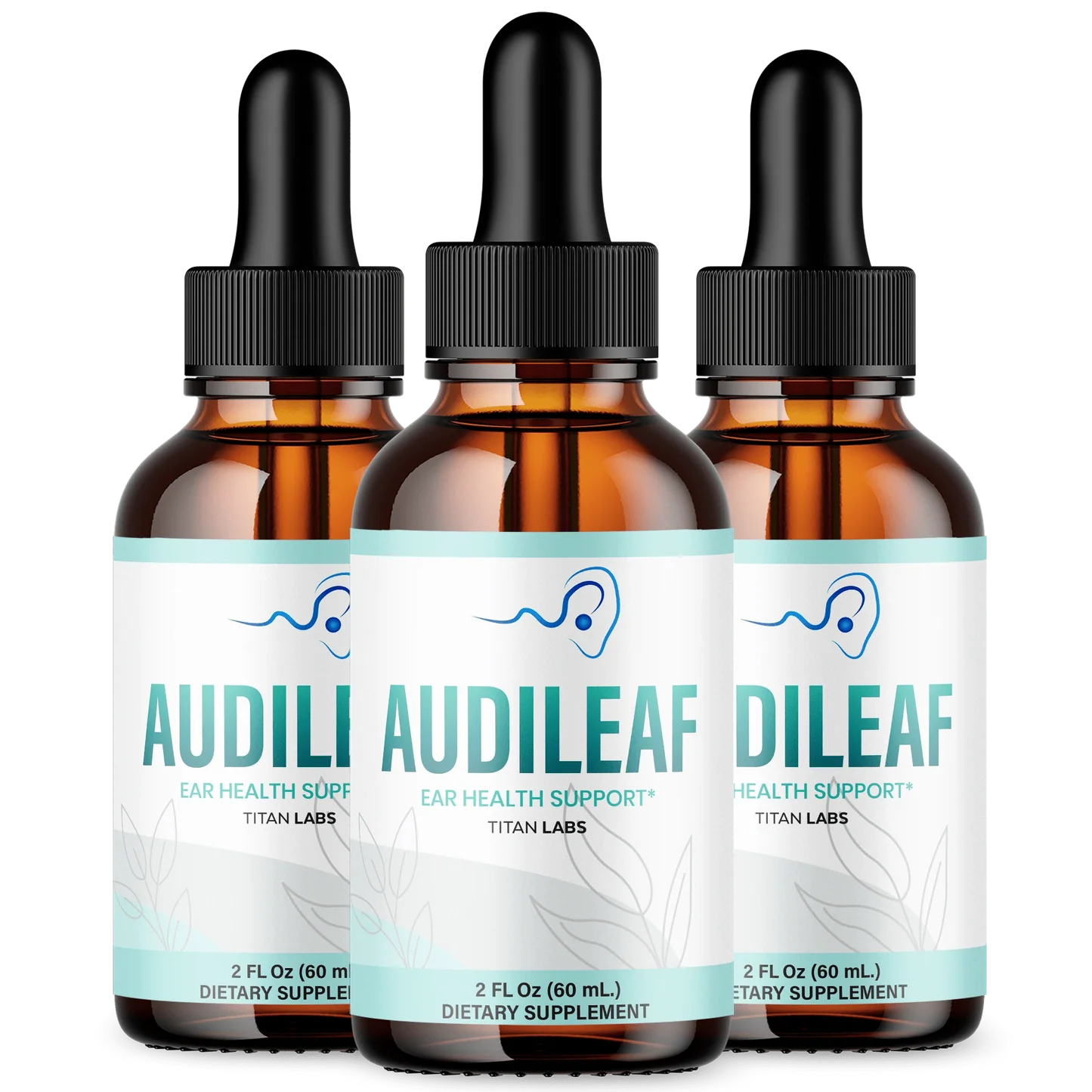 AudiLeaf (3)