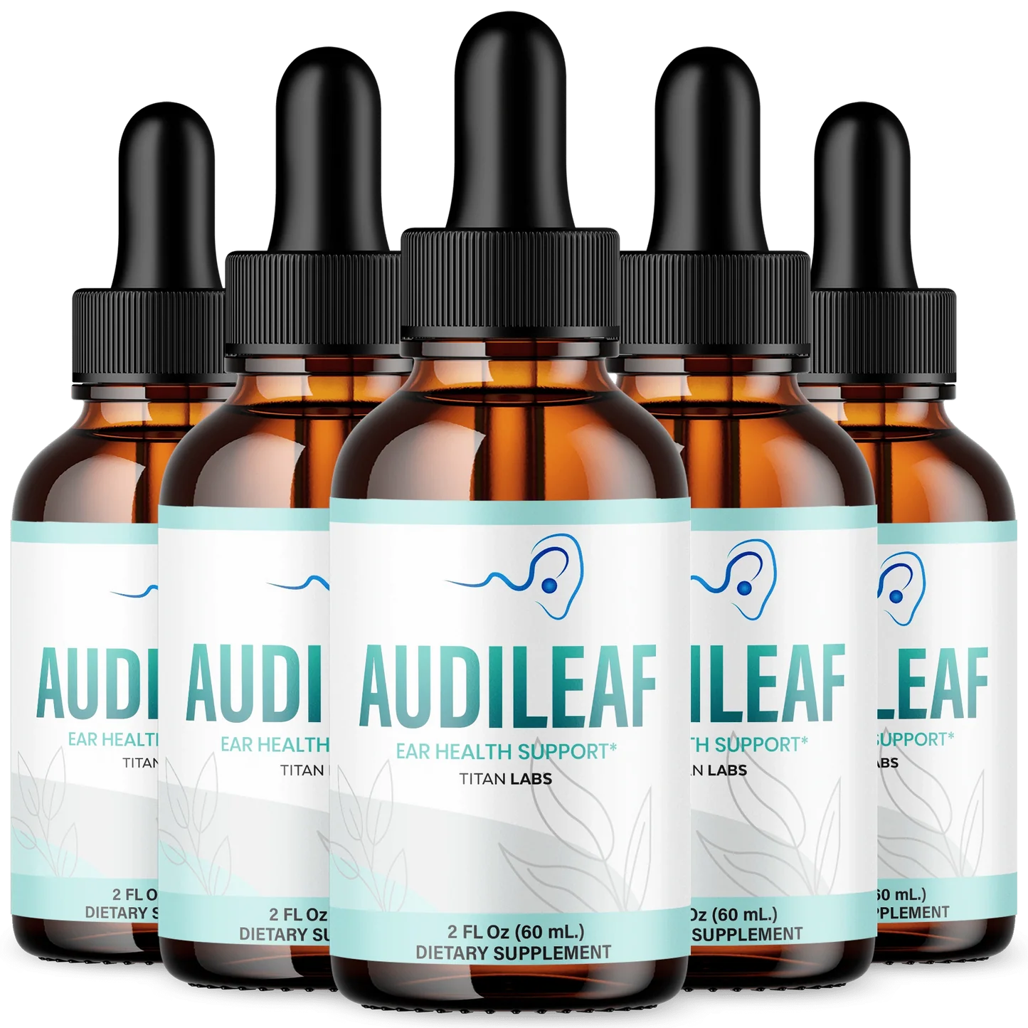 AudiLeaf (5)